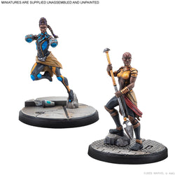 Crisis Protocol Wakanda Affiliation Pack